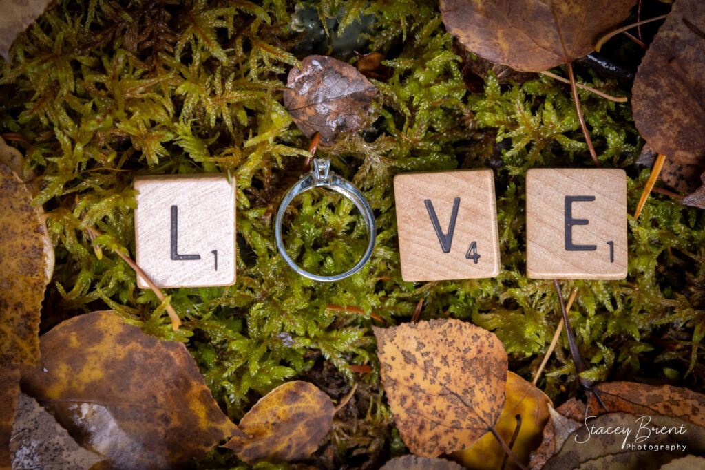 Engagement Session of Ring in LOVE. Stacey Brent Photography, Central Newfoundland.