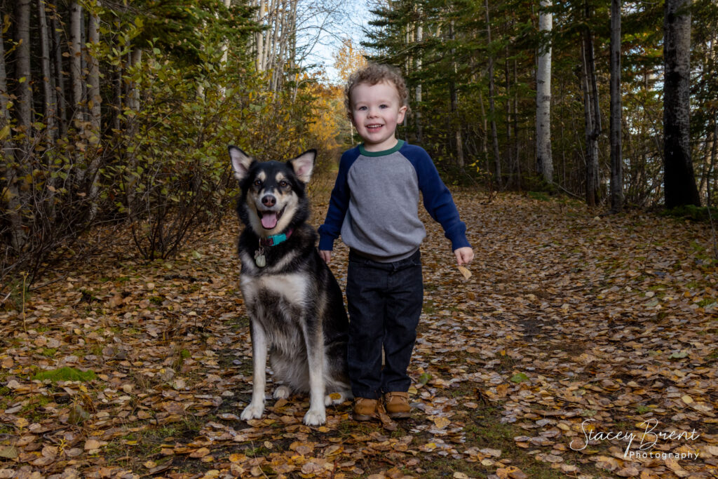 Family Session of Son and Dog. Stacey Brent Photography, Central Newfoundland.